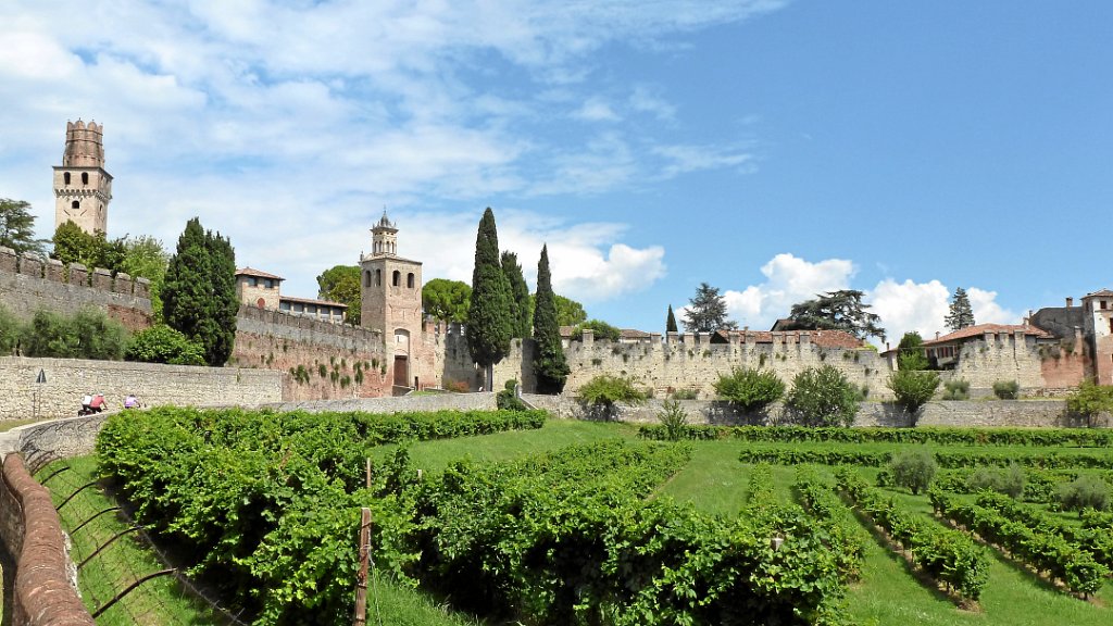 2011-08-05 12.09.20.jpg